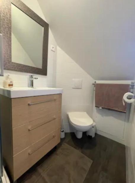 Charmant Studio Tout Confort Cesson Sevigne . Экстерьер фото